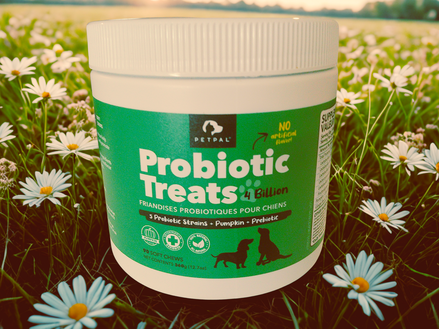 Probiotic 4 Billion Soft Chew Treats For Dogs-Pet Supplement
