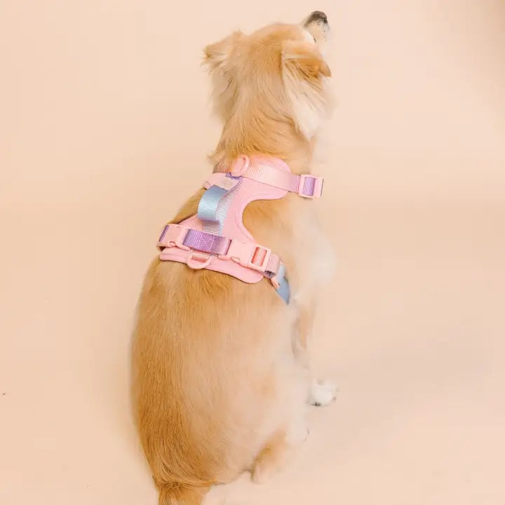 Diem Dog Harness | No Pull Dog Harness | Pink Dog Harness