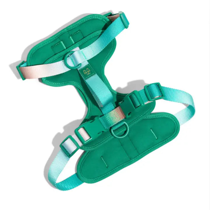 Parker Dog Harness | Green No Pull Multi Walk Style Harness