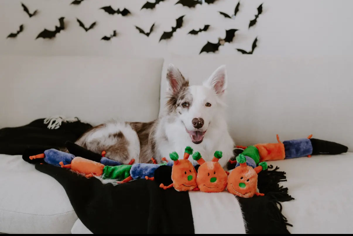 Zippypaws Halloween Caterpillar - Deluxe