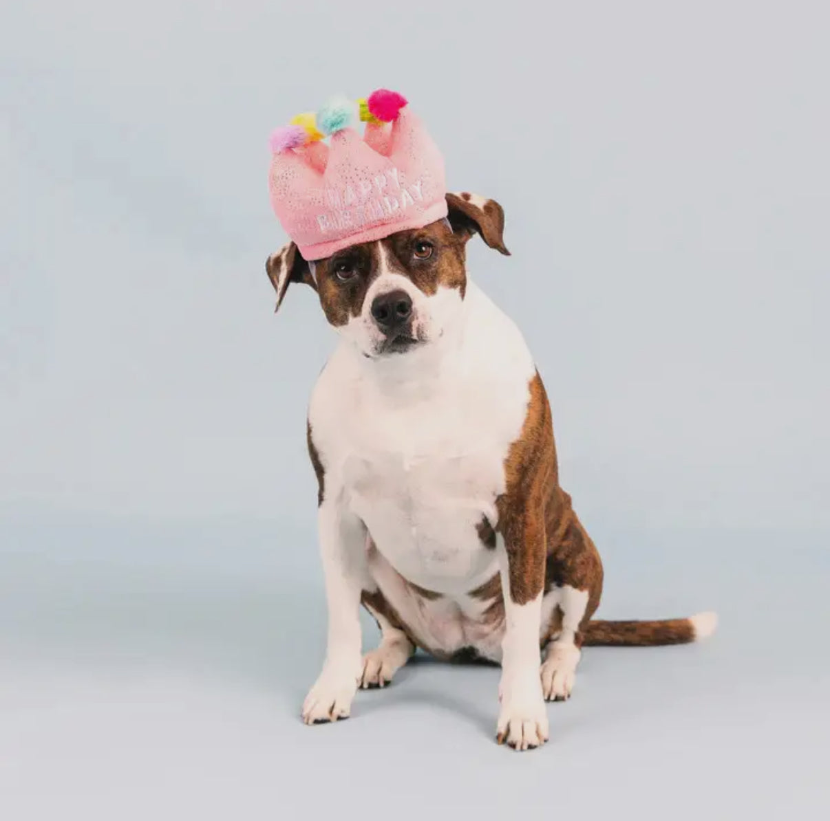 If The Crown Fits Plush Toy