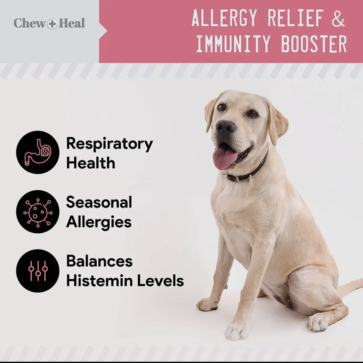 Allergy Chews with Antioxidants