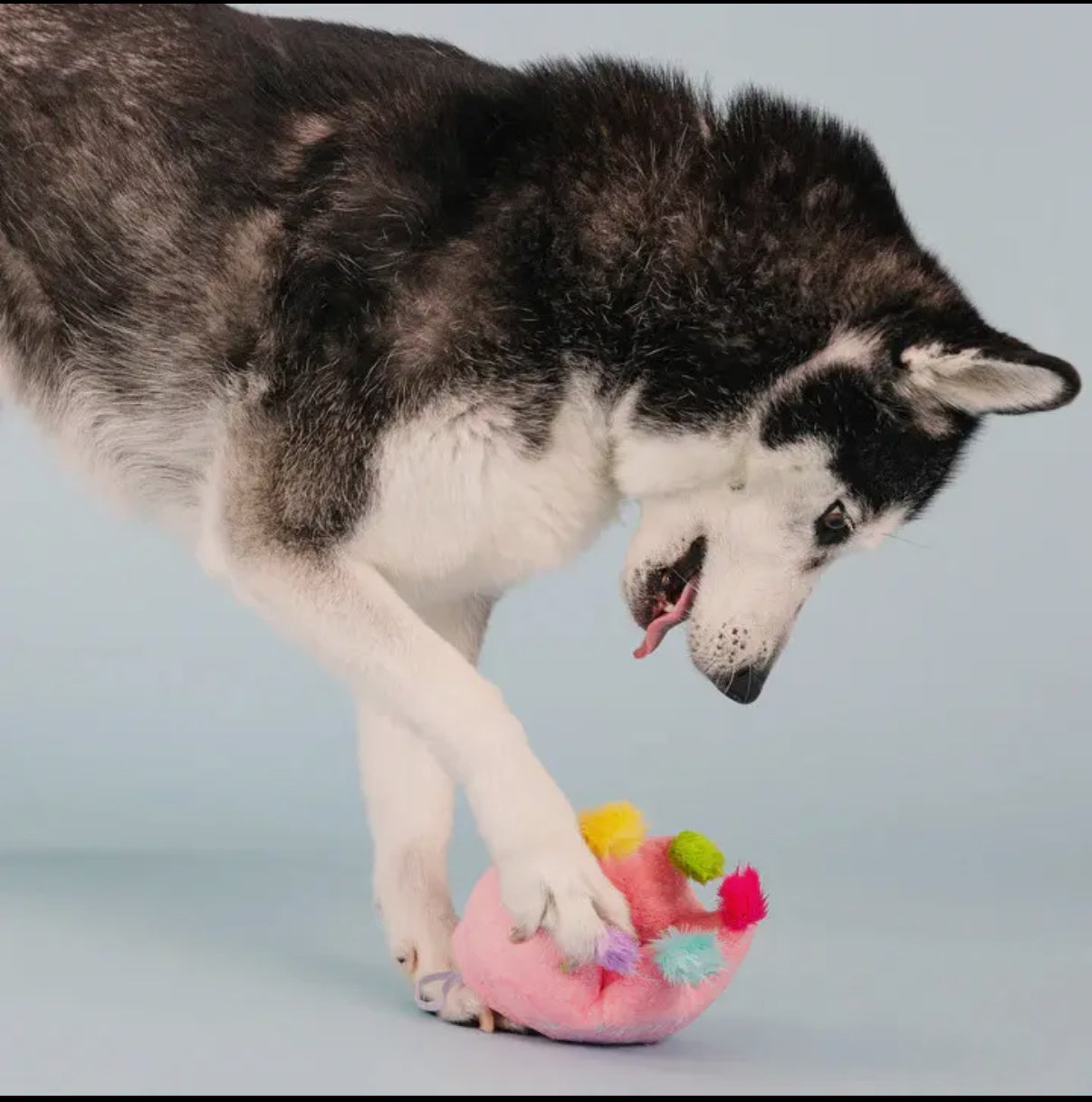 If The Crown Fits Plush Toy