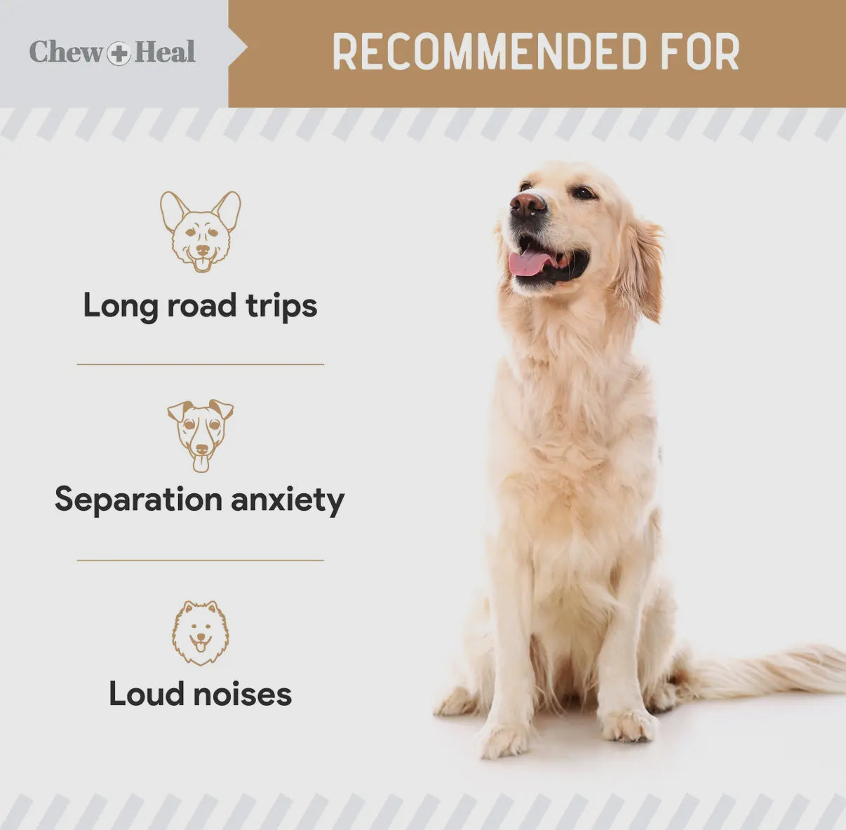 Anxiety + Stress Peanut Butter Treats Chew+Heal