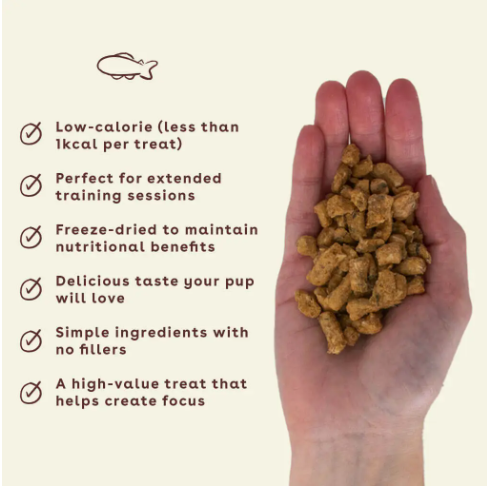 Pupford Freeze-Dried Salmon Dog Training Treats 2oz