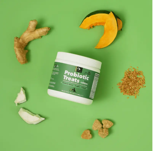 Probiotic 4 Billion Soft Chew Treats For Dogs-Pet Supplement