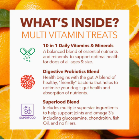 Multi Vitamin Soft Chew Treats For Dogs - Pet Supplement