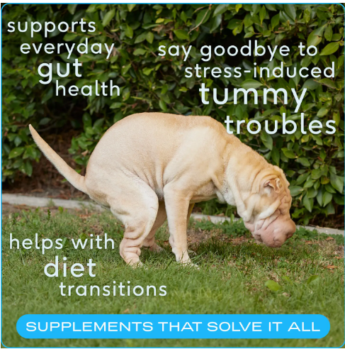 Probiotic & Prebiotic Powder Vet-Formulated Supplement