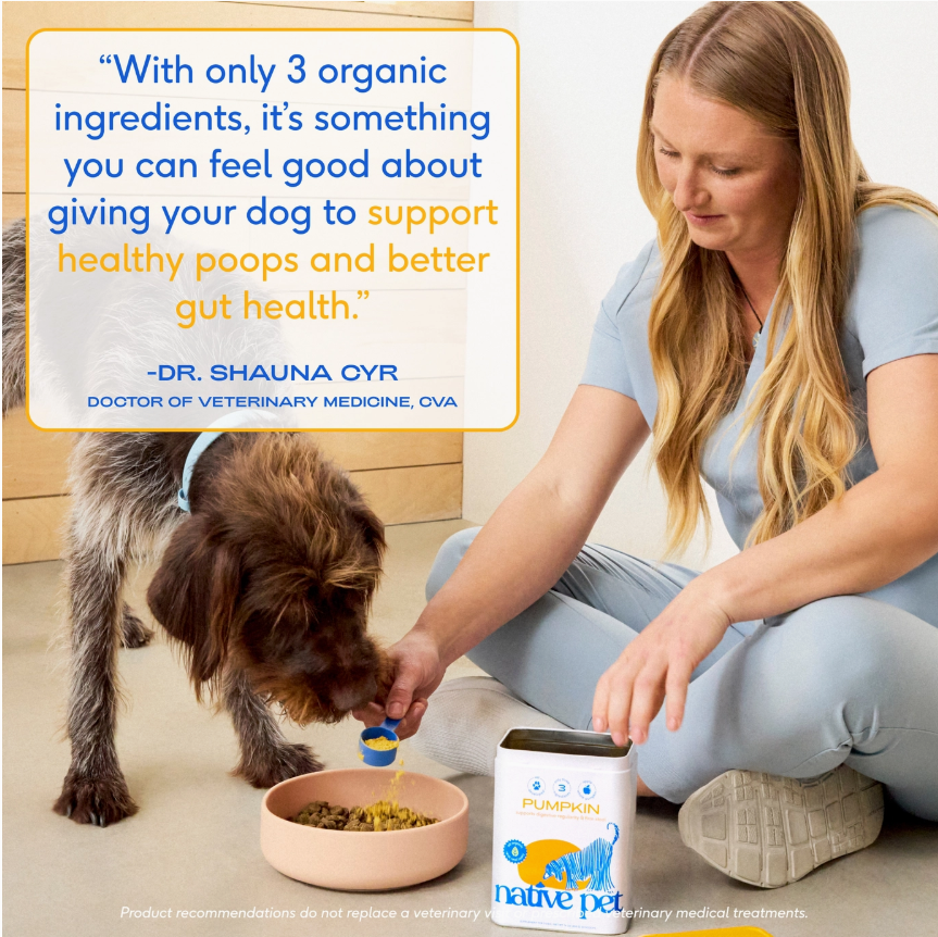 Organic Pumpkin Fiber Powder, Digestive Supplement For Dogs
