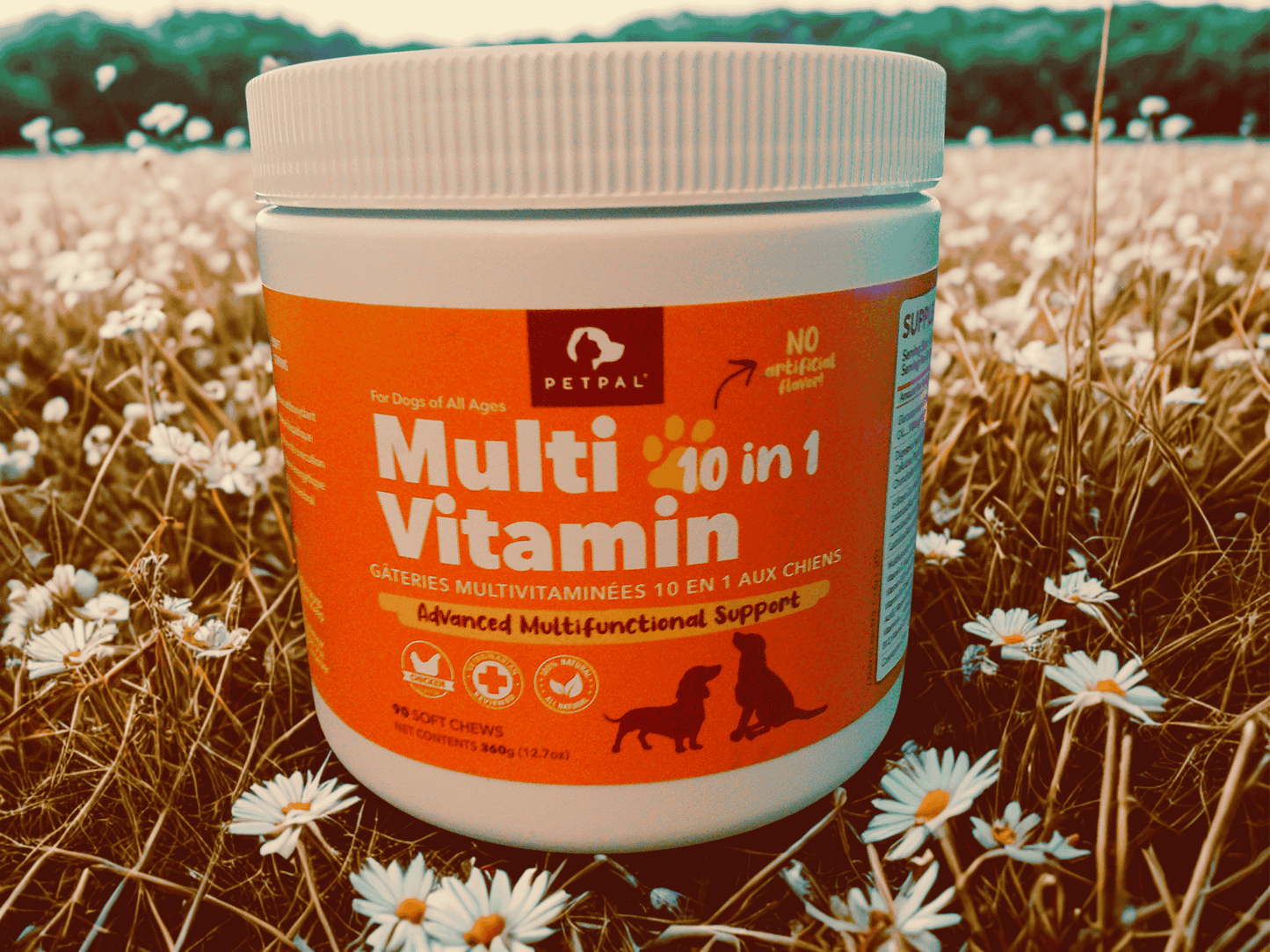 Multi Vitamin Soft Chew Treats For Dogs - Pet Supplement