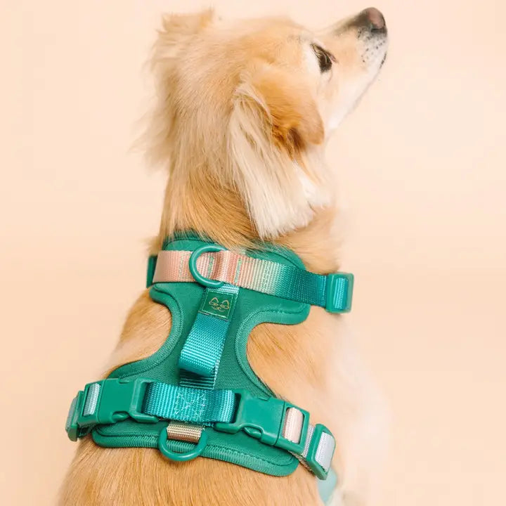 Parker Dog Harness | Green No Pull Multi Walk Style Harness