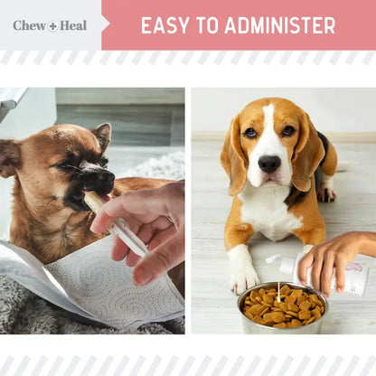 Stop the Diarrhea, Anti Diarrhea For Dogs