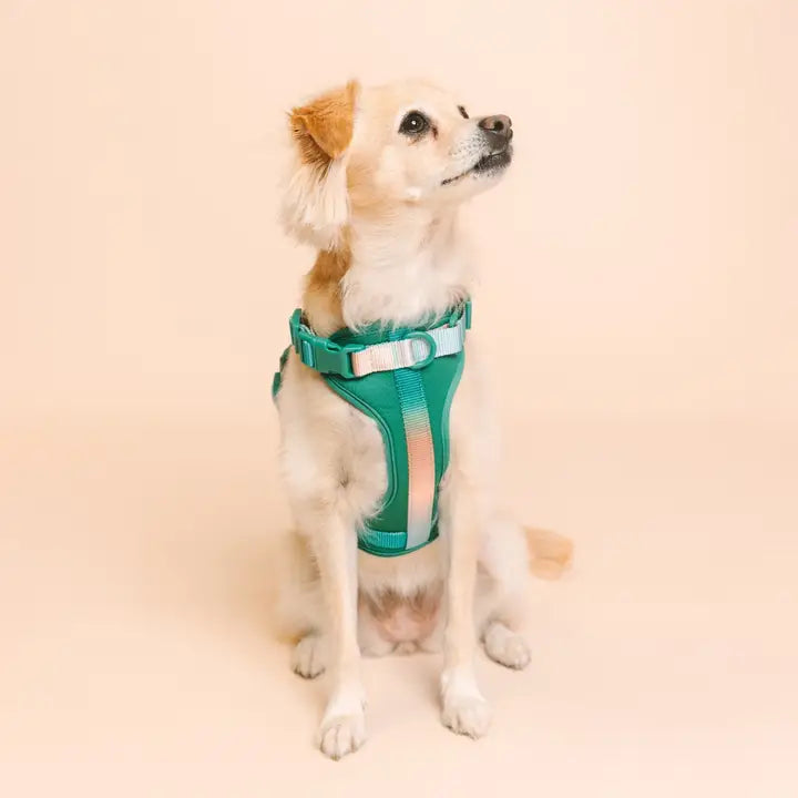 Parker Dog Harness | Green No Pull Multi Walk Style Harness
