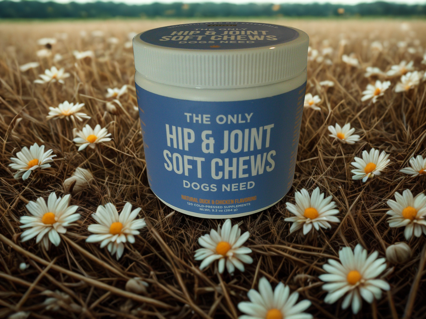 Hip & Joint Soft Chews Natural Rapport