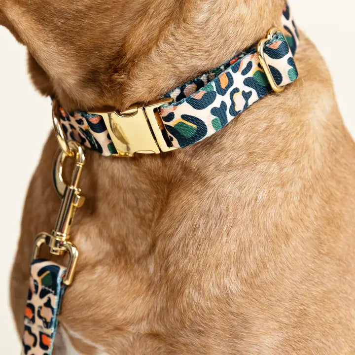 Beckett Dog Collar | Leopard Print Dog Collar | Dog Collar