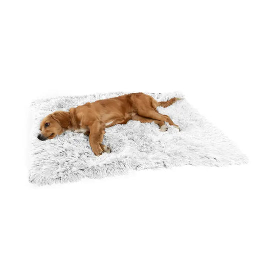 Best Friends By Sheri Blanket Shag Frost 30x40