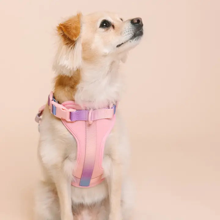 Diem Dog Harness | No Pull Dog Harness | Pink Dog Harness
