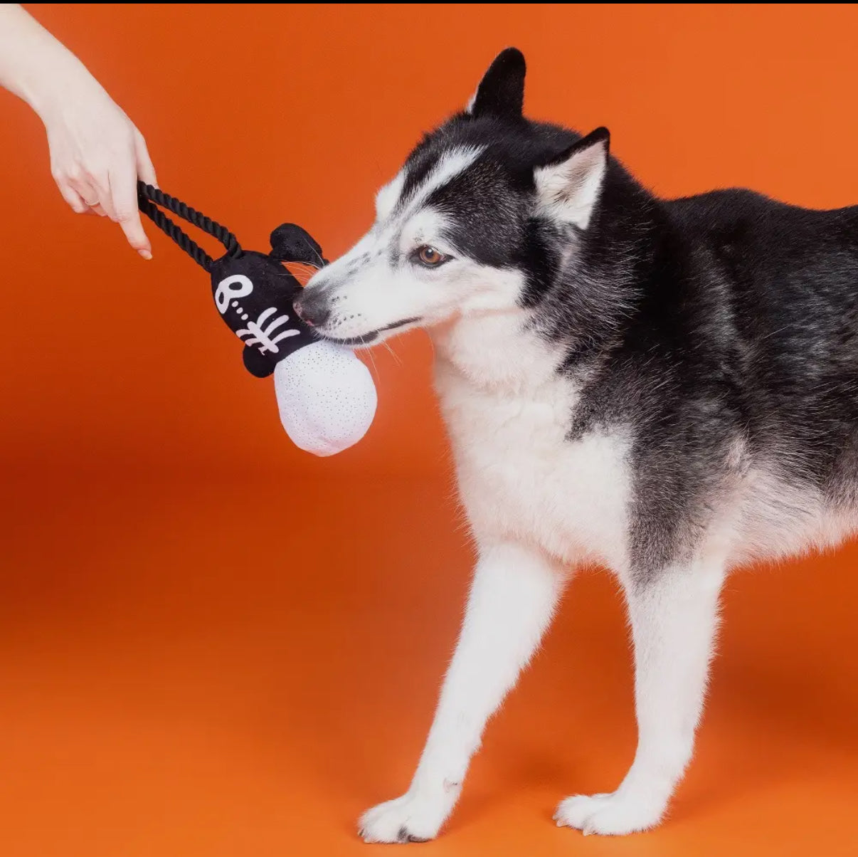 Petshop By Fringe Studio Got A Bone To Pick Plush Dog Toy