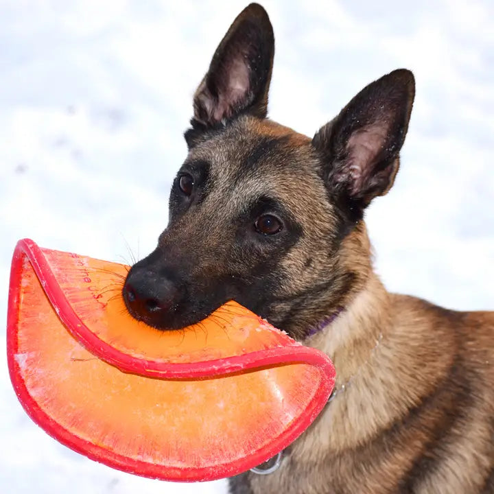 Ruff Dawg K9 Flyer Dog Toy