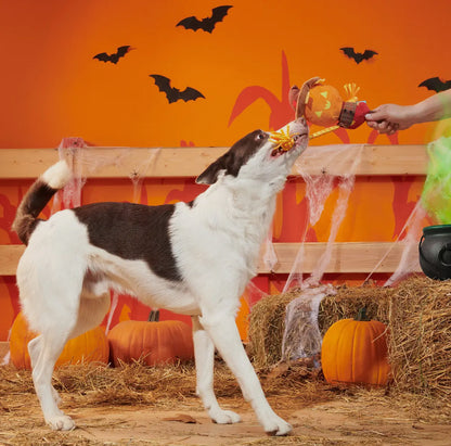 Bark Jack-Crow-Lantern Plush Dog Toy
