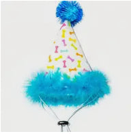 Birthday Party Blue Hat
