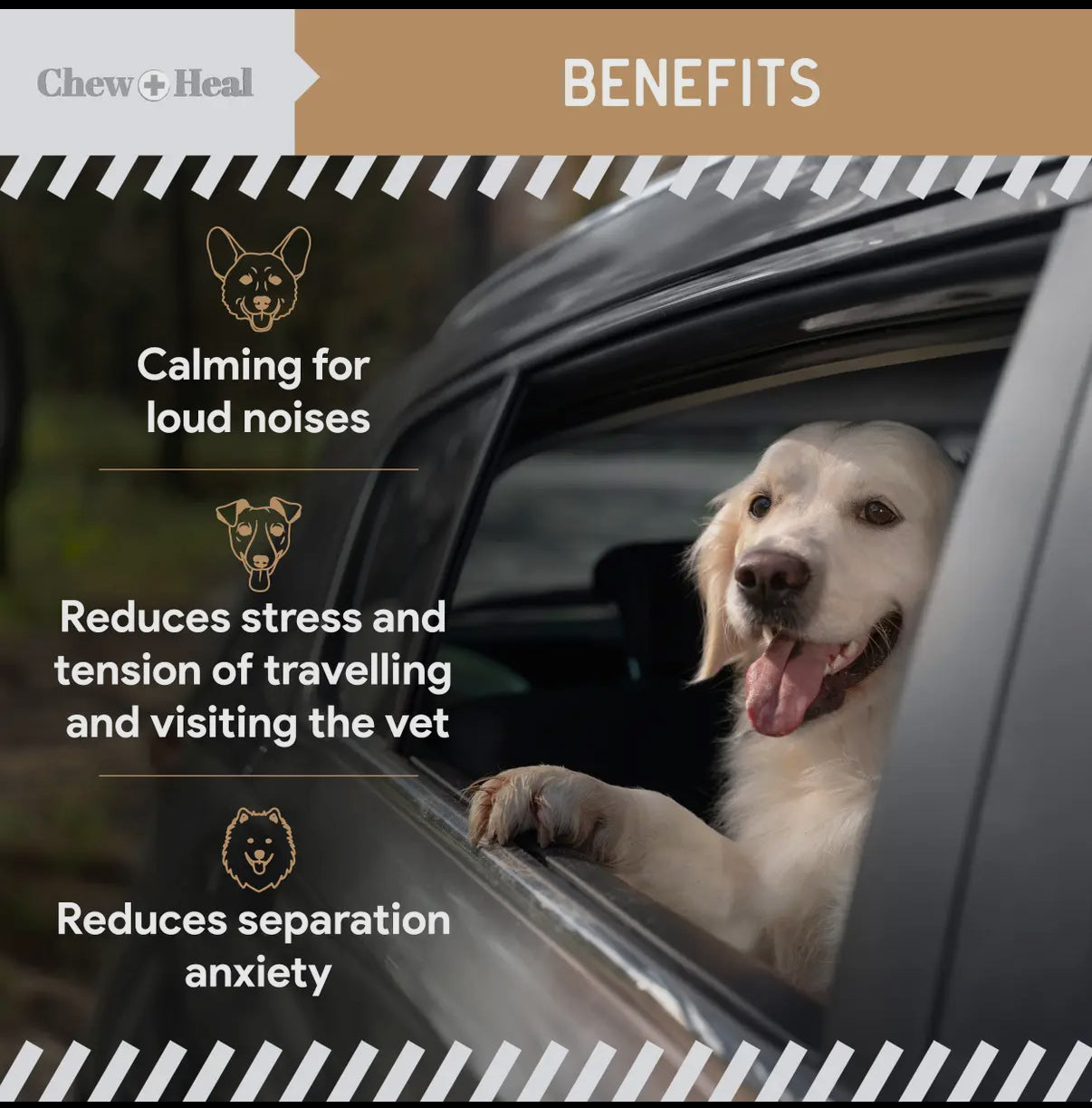 Anxiety + Stress Peanut Butter Treats Chew+Heal