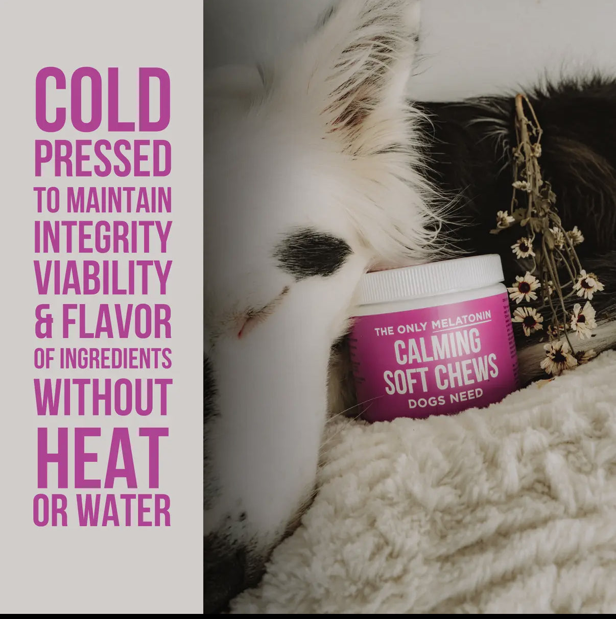 Calming Soft Chews With Melatonin