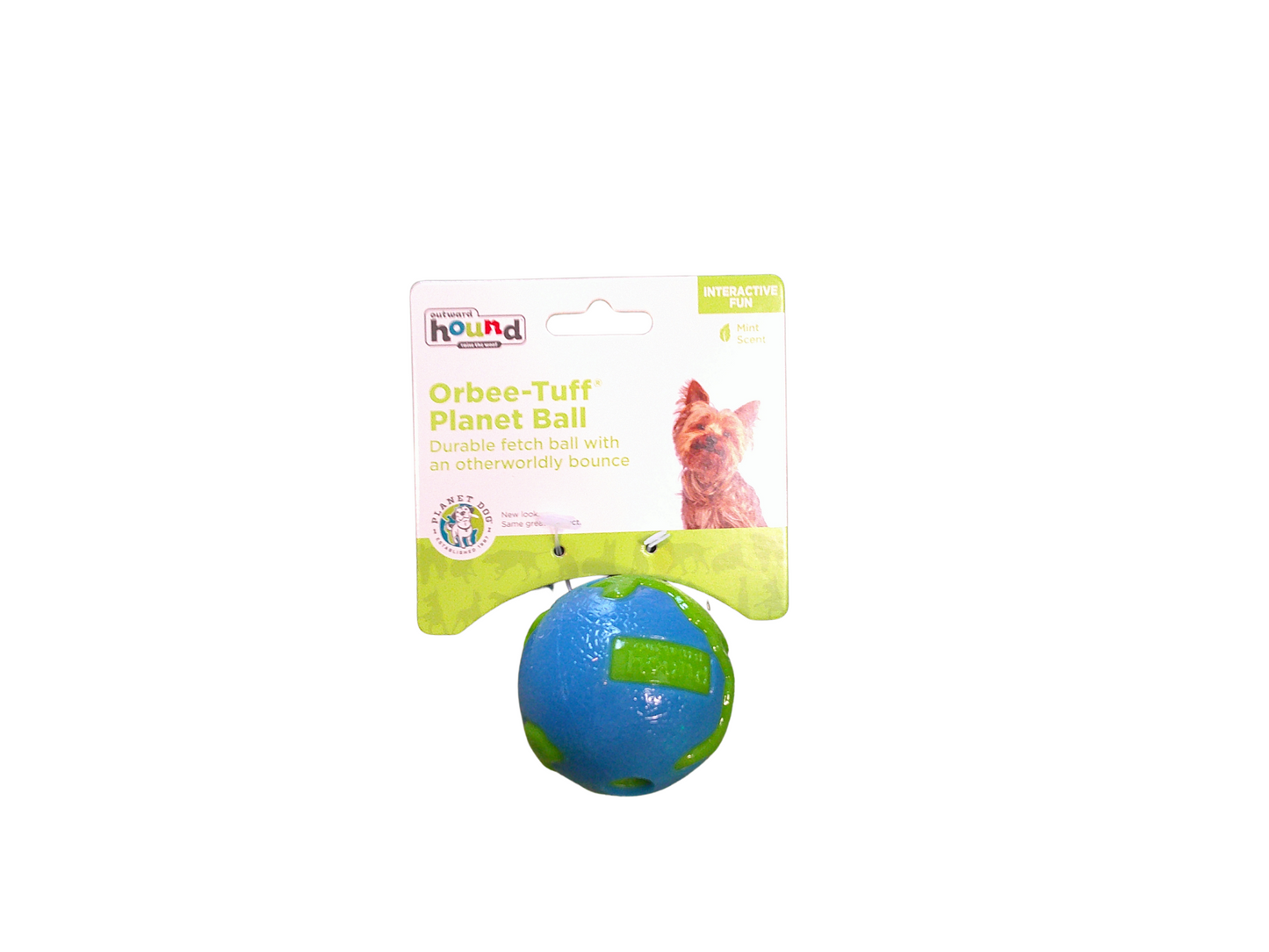 Planet Dog Orbee-Tuff Planet Ball Dog Toy Blue/Green Small