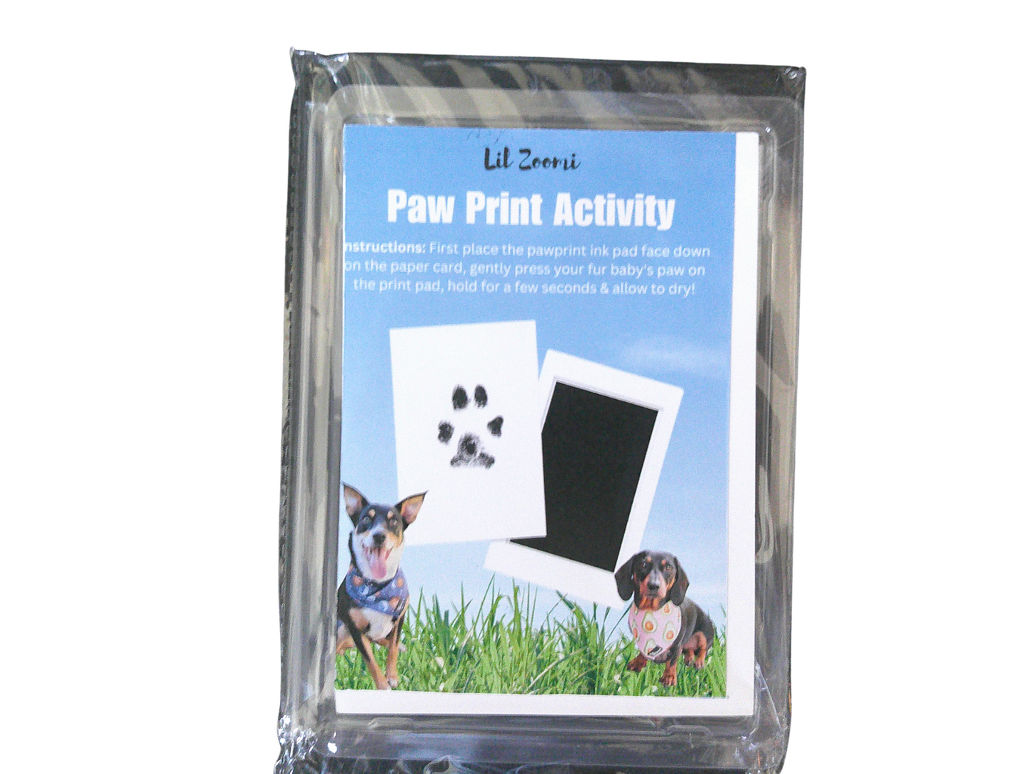 Paw Print Kit