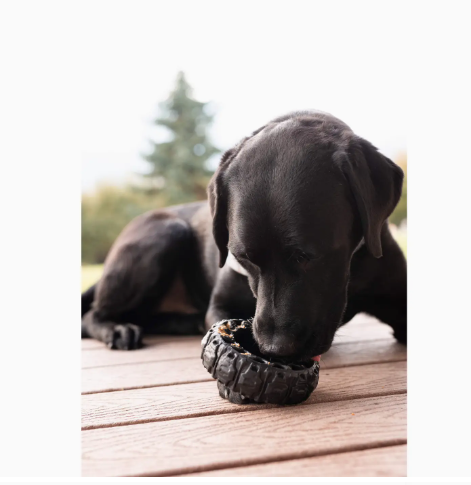 The Tire - Reclaimed Rubber Toy - Made in the USA