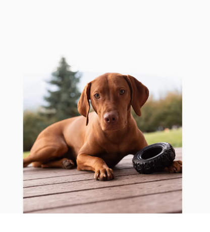 The Tire - Reclaimed Rubber Toy - Made in the USA