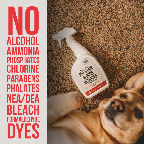 The Only Pet Stain & Odor Remover You Need