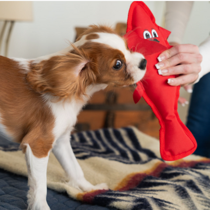 Houndstone &Co. Extra Durable Dog Toy With Squeaker 'Lobster'