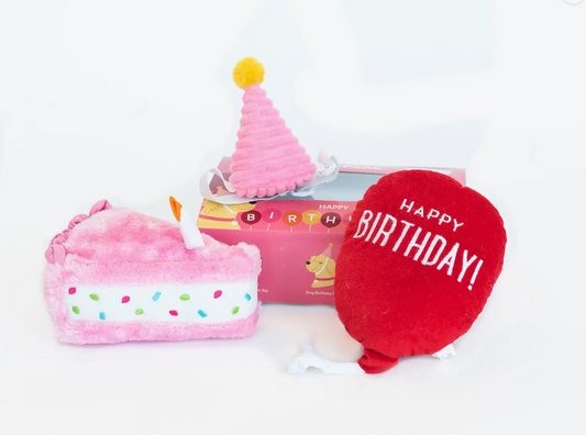 Zippy Paws Birthday Box Pink