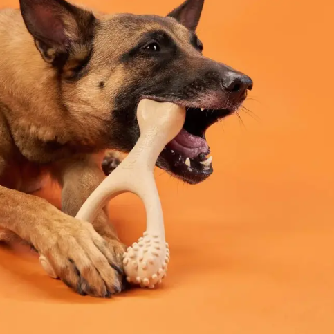 BetterBone Beef Flavored No Nylon Chew Bone