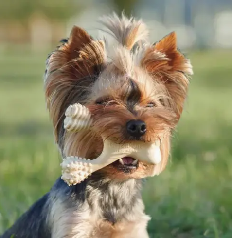 BetterBone Beef Flavored No Nylon Chew Bone