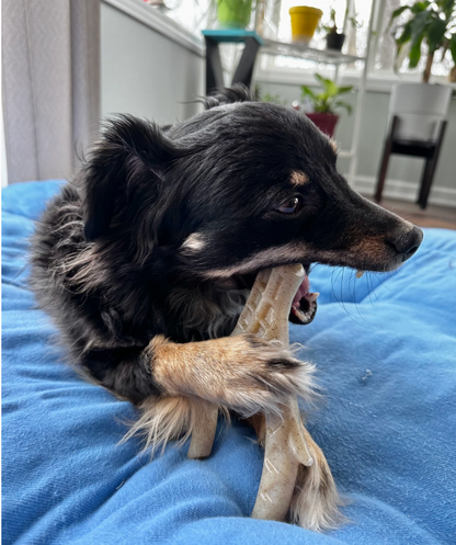 Spunky pup "The Antler" Dental Bone Chew Chicken Flavored.
