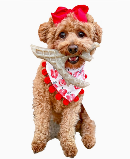 Spunky pup "The Antler" Dental Bone Chew Chicken Flavored.