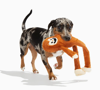 Bark Sasquatch Josh Plush Dog Toy