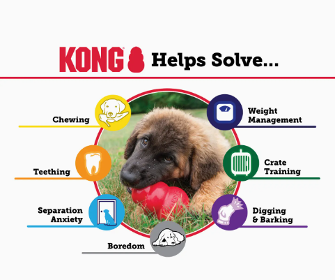 Kong Rubber Chew Toy Red and Black 3 Sizes