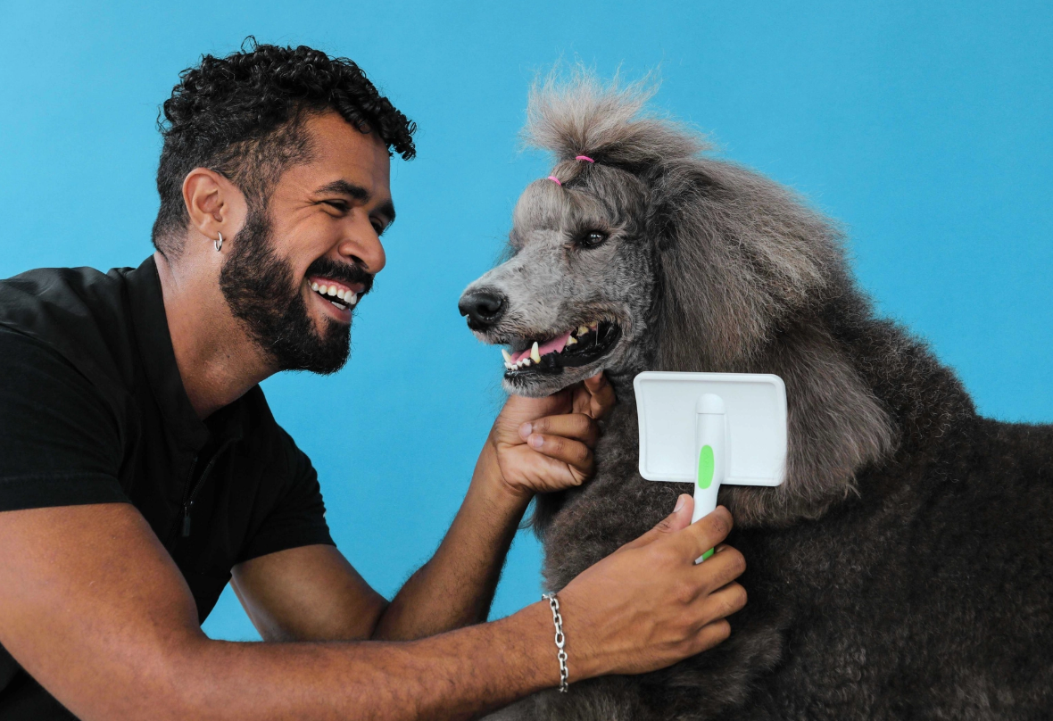 Large Firm Slicker Brush Andis Medium-Large Dogs