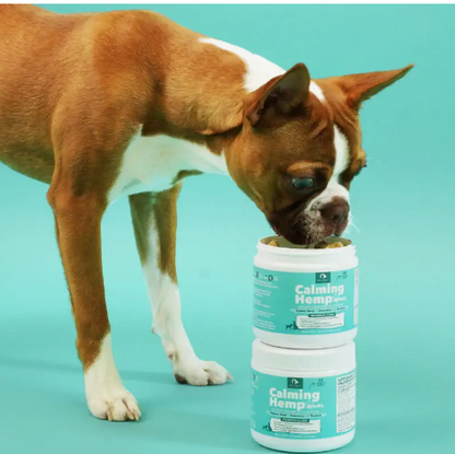 Calming Hemp Treats - Soft Chews For Dogs - Pet Supplement