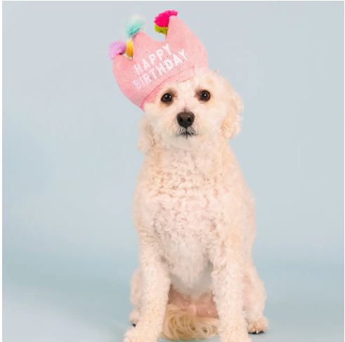 If The Crown Fits Plush Toy