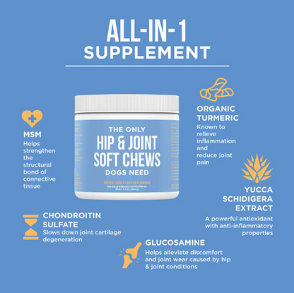 Hip & Joint Soft Chews Natural Rapport