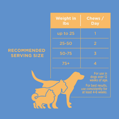 Hip & Joint Soft Chews Natural Rapport