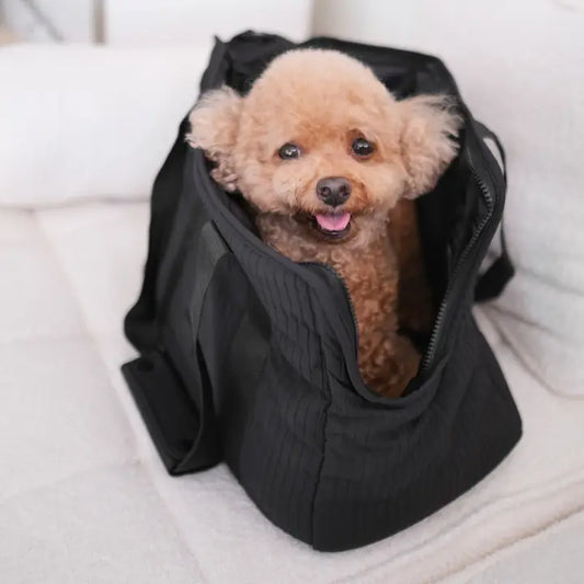 City Pet Carrier