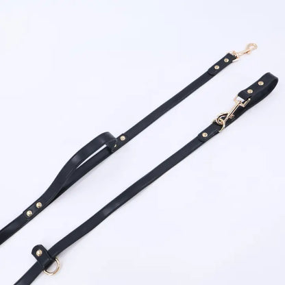 Hands Free Dog Leash