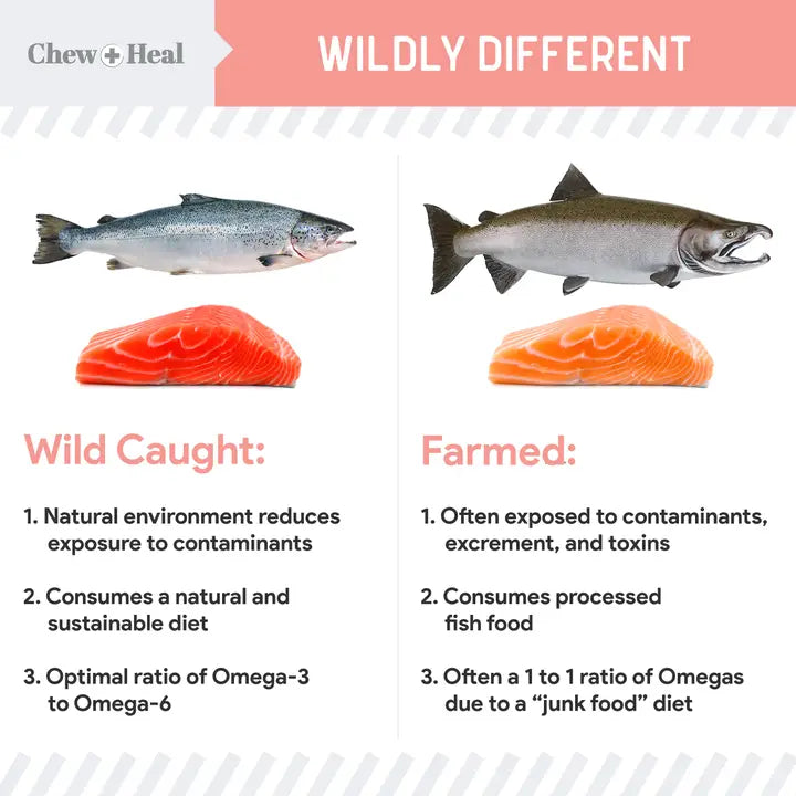 Chew + Heal Wild Alaskan Salmon Oil Formula