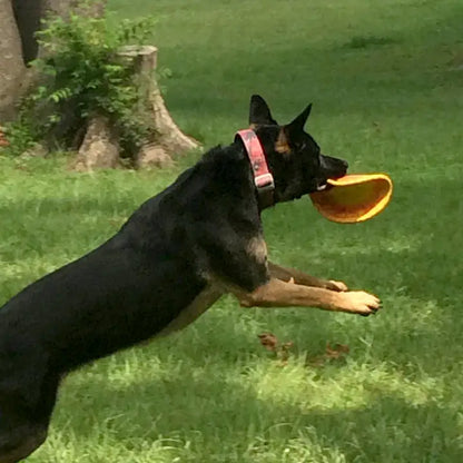 Ruff Dawg K9 Flyer Dog Toy