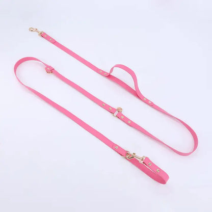 Hands Free Dog Leash